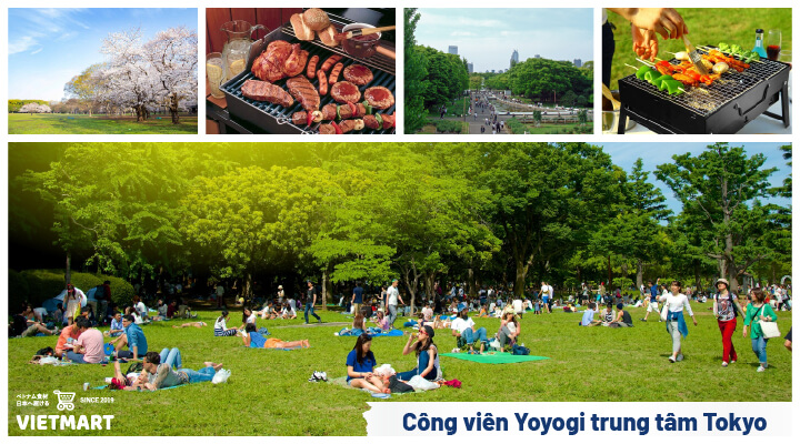 Công viên Yoyogi - nơi tổ chức BBQ tại Tokyo (代々木公園)
